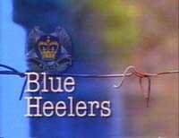 [blue heelers]